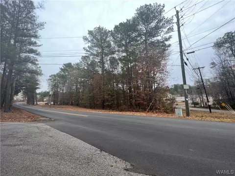 0 Sandy Dr, Mc Calla, AL 35111 photo 4
