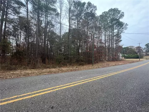 00 Sandy Dr, Mc Calla, AL 35111 photo 2