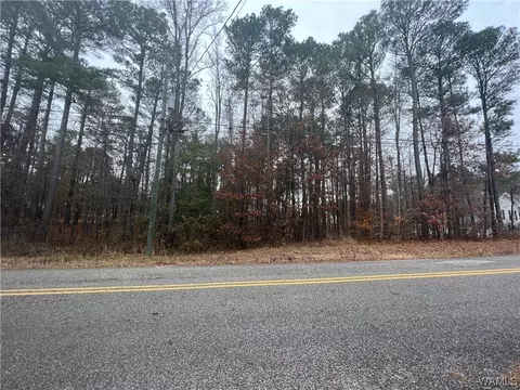 00 Sandy Dr, Mc Calla, AL 35111 photo 3
