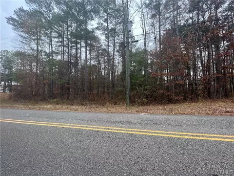 00 Sandy Dr, Mc Calla, AL 35111 photo 4