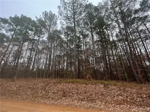 O Gladys Drive, Vance, AL 35490