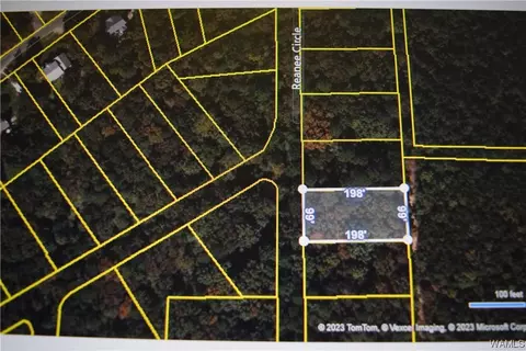 7 Renaee Cir, Lake View, AL 35111