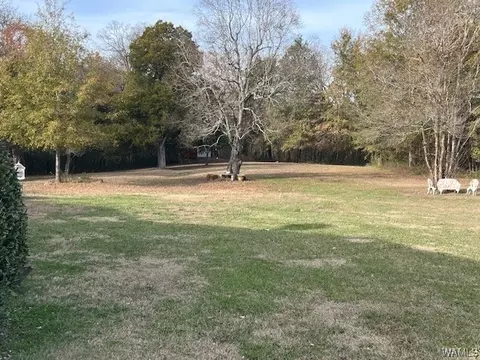 Exterior - 506 Herbert St, Demopolis, AL 36732 photo 3 of 5