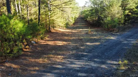 0 Carl Hyche Rd, Brookwood, AL 35444