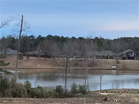 10581 Austin Loop, Vance, AL 35490 photo 22