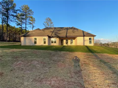 10581 Austin Loop, Vance, AL 35490 photo 21
