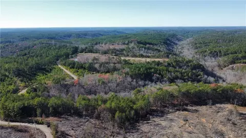 00 Lock 17 Rd, Brookwood, AL 35444