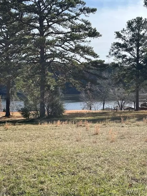 000 Lunceford Rd, Northport, AL 35475