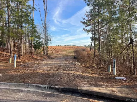 00 Tuliptree Ln, Northport, AL 35473