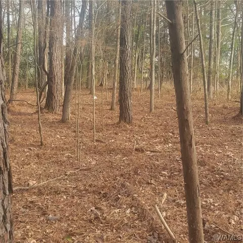 569 Gore Road Rd, Pickensville, AL 35447