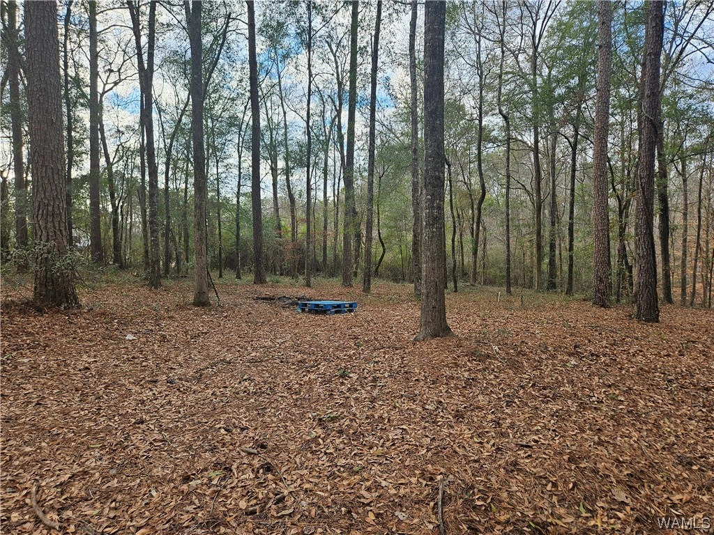 149 Lake Arnedra Cir  