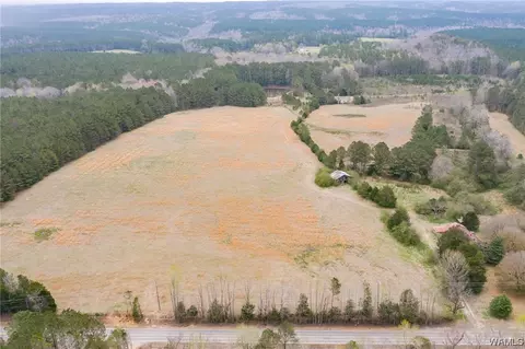 Lot 1 Highway 69 N, Berry, AL 35546