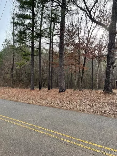 7800 Lake Judson Rd, Cottondale, AL 35453