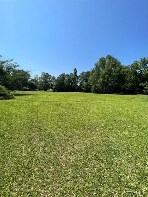 0 Us Highway 80, Demopolis, AL 36732