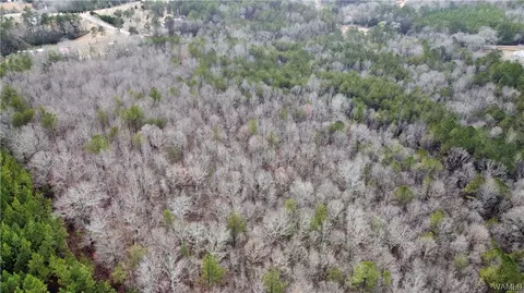 0 Cherokee Cr 46, Other, AL 35973