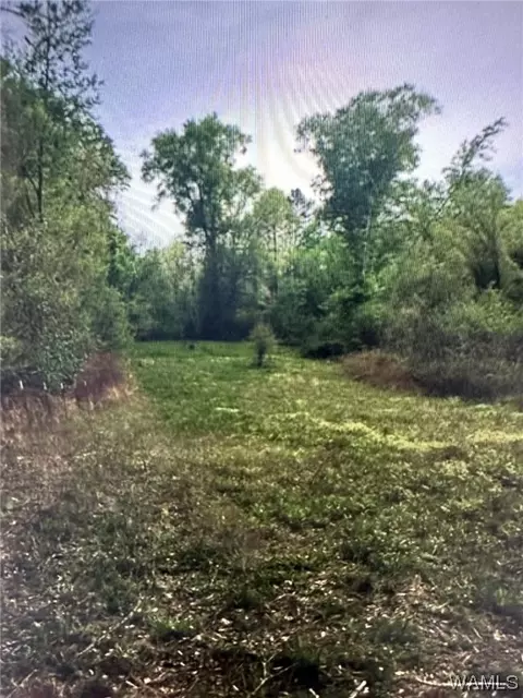 0 Cripple Creek Rd, Berry, AL 35546