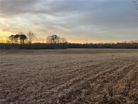 00000 Cr 35, Ethelsville, AL 35461