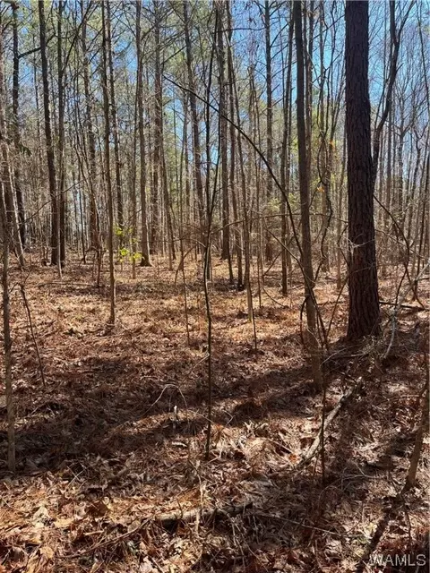 0000 82w Hwy, Coker, AL 35452