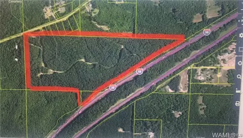 00 Sylvan Loop Rd, Foster, AL 35463 photo 11