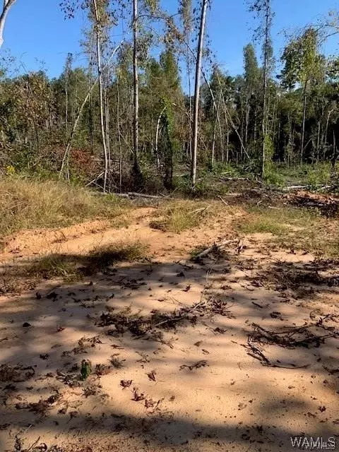 00 Sylvan Loop Rd, Foster, AL 35463 photo 12