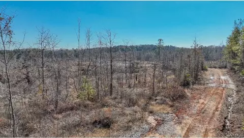 00 Sylvan Loop Rd, Foster, AL 35463 photo 4