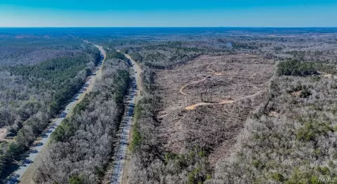 00 Sylvan Loop Rd, Foster, AL 35463 photo 10