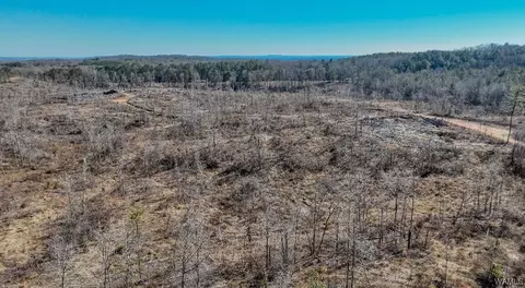 00 Sylvan Loop Rd, Foster, AL 35463 photo 3