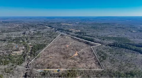 00 Sylvan Loop Rd, Foster, AL 35463