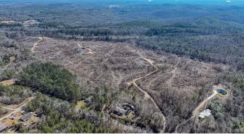00 Sylvan Loop Rd, Foster, AL 35463 photo 7