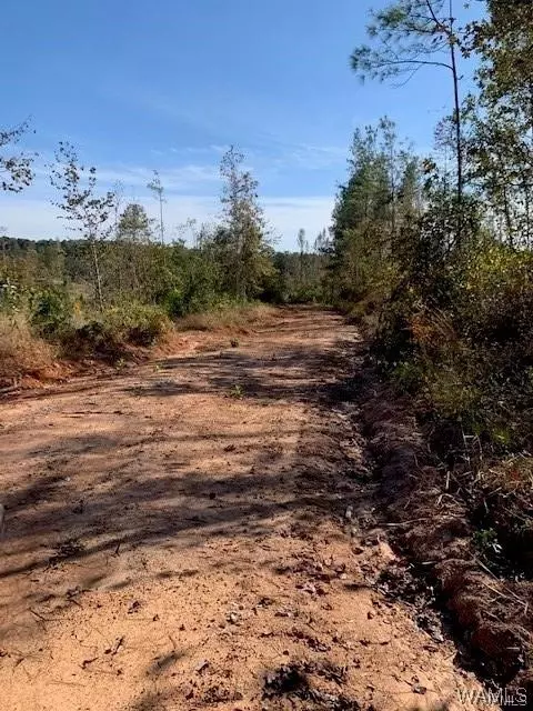 00 Sylvan Loop Rd, Foster, AL 35463 photo 18