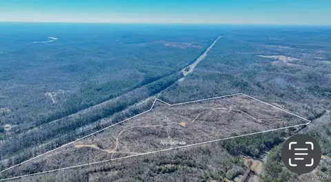 00 Sylvan Loop Rd, Foster, AL 35463 photo 9
