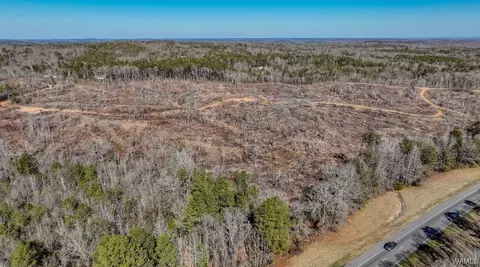 00 Sylvan Loop Rd, Foster, AL 35463 photo 6