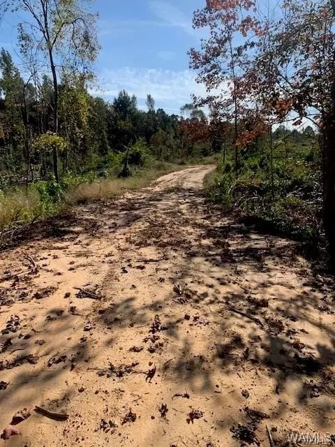 00 Sylvan Loop Rd, Foster, AL 35463 photo 14