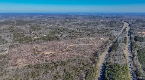 00 Sylvan Loop Rd, Foster, AL 35463 photo 8