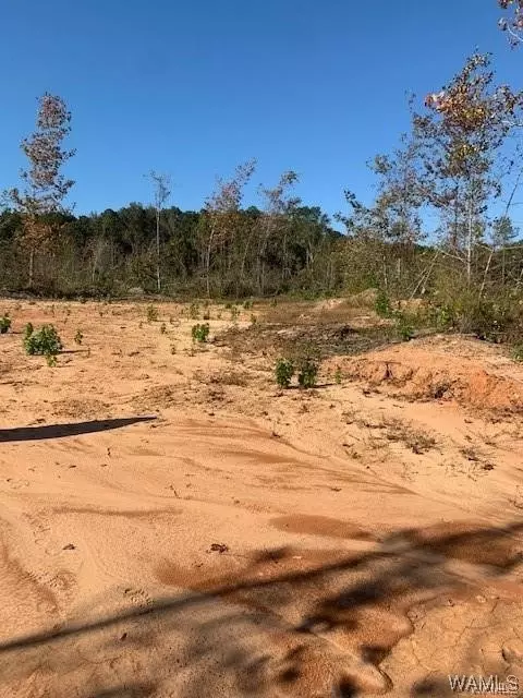 00 Sylvan Loop Rd, Foster, AL 35463 photo 15