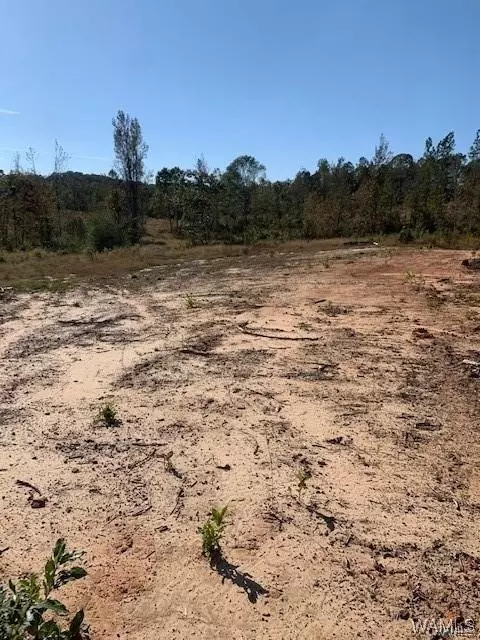 00 Sylvan Loop Rd, Foster, AL 35463 photo 17