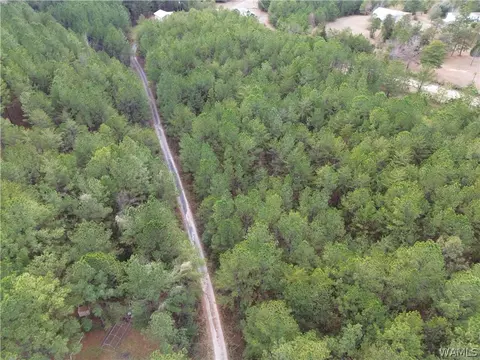15239 Ridgeland Rd, Brookwood, AL 35444