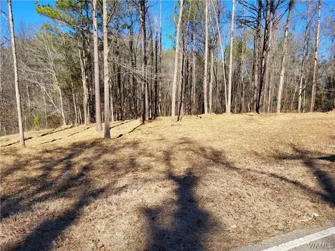 0 Northside Rd, Northport, AL 35475