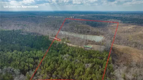 728 Fred Rd, Sawyerville, AL 36776