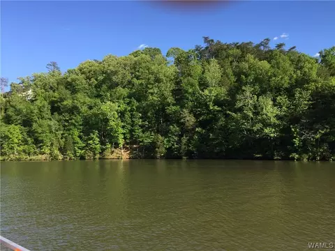 1 Lewis Rd, Tuscaloosa, AL 35406