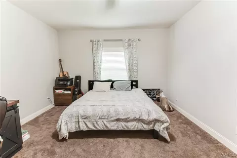 Bedroom - 20719 Waters Vw, Mc Calla, AL 35111 photo 9 of 9