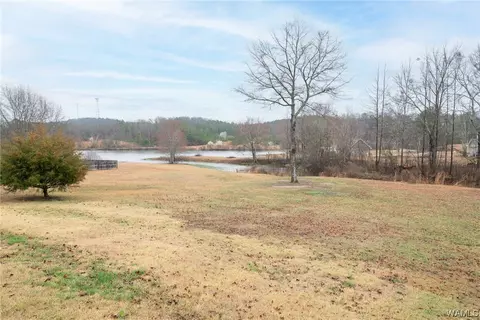Exterior - 20719 Waters Vw, Mc Calla, AL 35111 photo 8 of 11