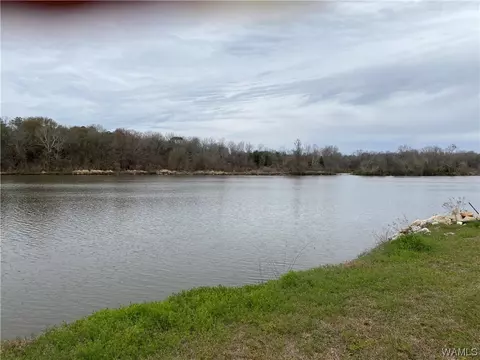 View/Area - 2266 Two Rivers Rd, Eutaw, AL 35462 photo 1 of 6