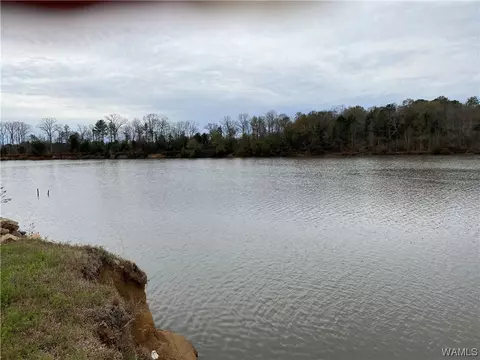 View/Area - 2266 Two Rivers Rd, Eutaw, AL 35462 photo 2 of 6