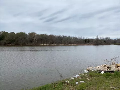 View/Area - 2266 Two Rivers Rd, Eutaw, AL 35462 photo 3 of 6