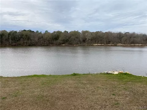 View/Area - 2266 Two Rivers Rd, Eutaw, AL 35462 photo 4 of 6