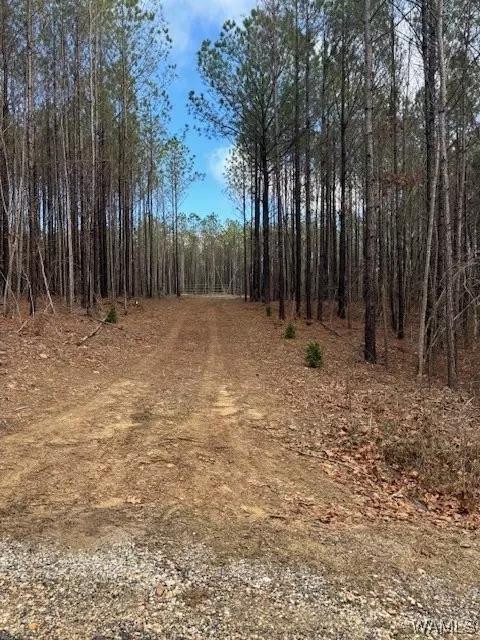565 New Liberty Rd, Bankston, AL 35542