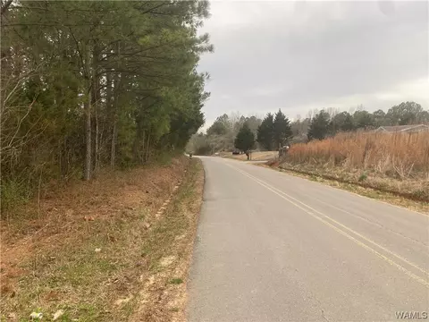 0 County Rd1224, Other, AL 35179