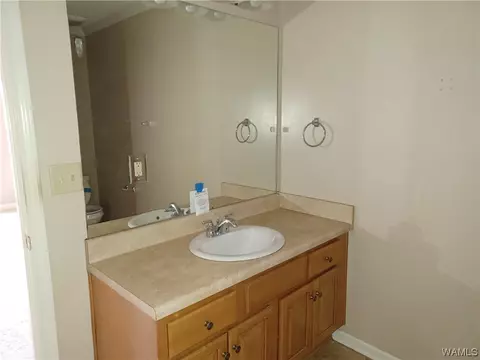 10784 Bent Brook Dr, Vance, AL 35490 photo 18