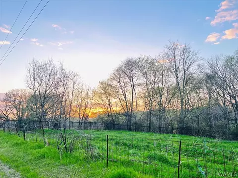 0 Happy Hollow Rd, Livingston, AL 35470